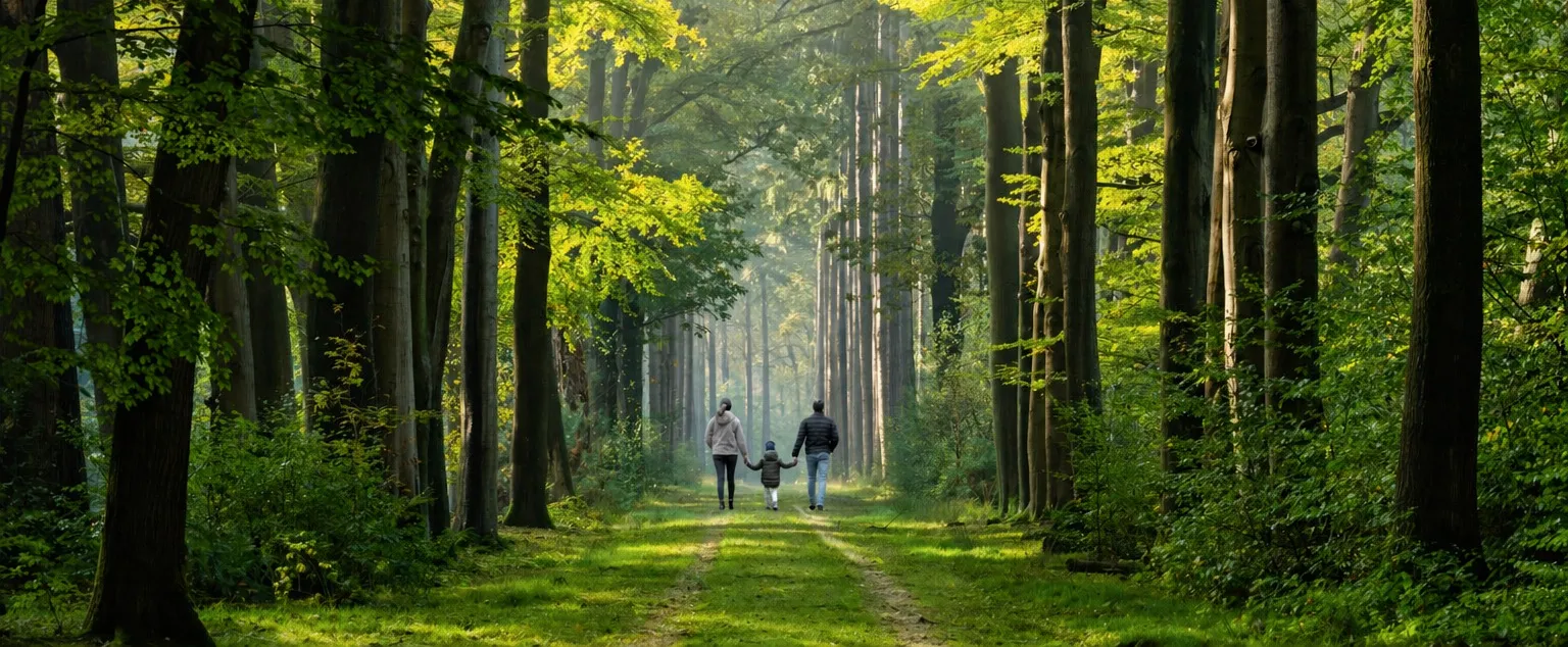 Famille en promenade dans les bois