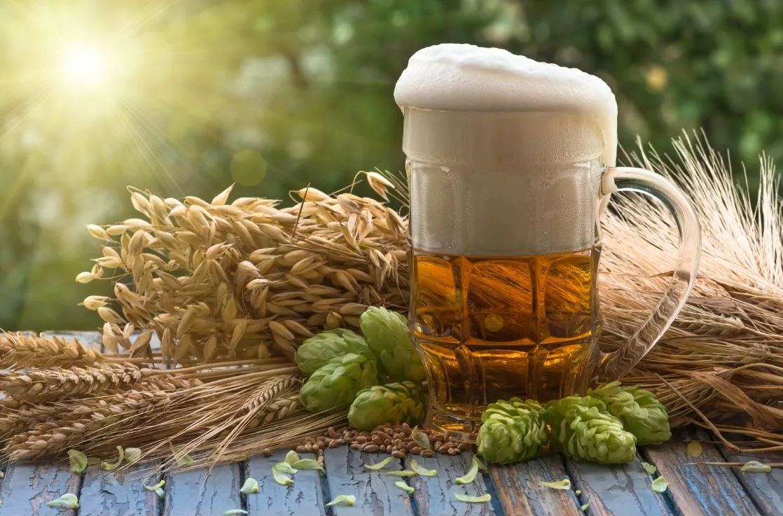 Une bi&egrave;re mousseuse entour&eacute;e d'&eacute;pis de bl&eacute;